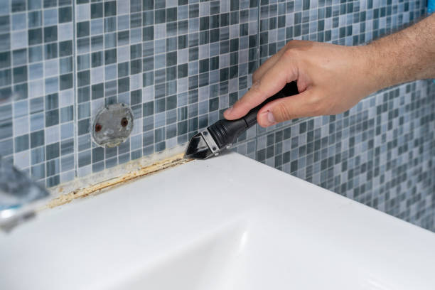 Best Certified Mold Removal  in Essex, IL